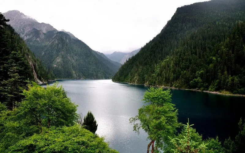 电子电子